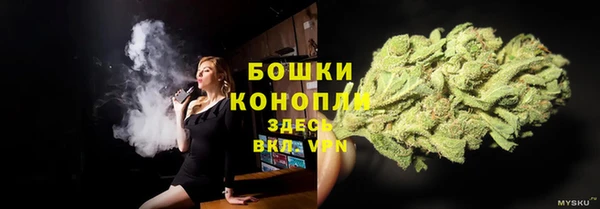 прущие грибы Няндома