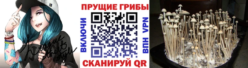 Псилоцибиновые грибы GOLDEN TEACHER  мориарти наркотические препараты  Истра 