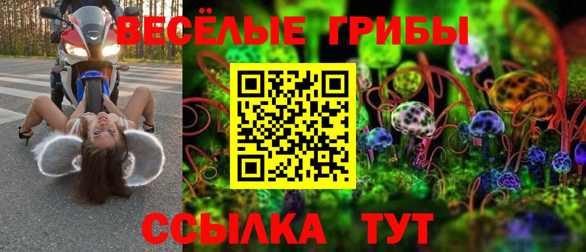 как найти   Галлюциногенные грибы Magic Shrooms  Вход с VPN  Истра 