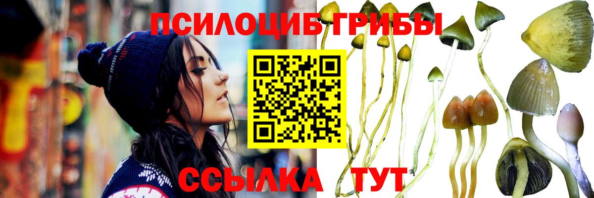 Псилоцибиновые грибы GOLDEN TEACHER Истра